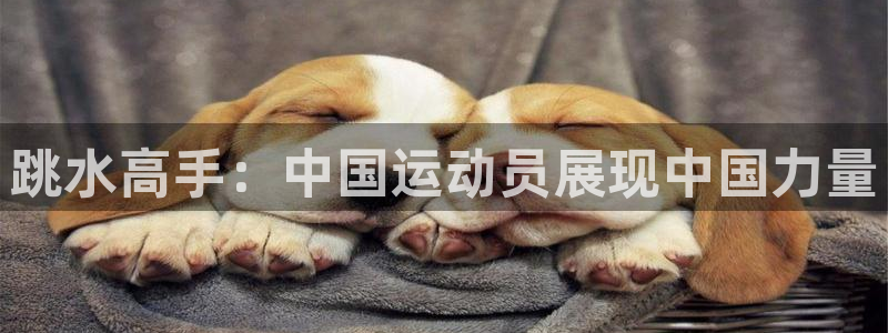 袋鼠体育直播app：跳水高手：中国运动员展现中国力量