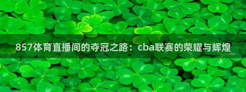 袋鼠直播nba在线观看：857体育直播间的夺冠之路：cba联赛的荣耀与辉煌