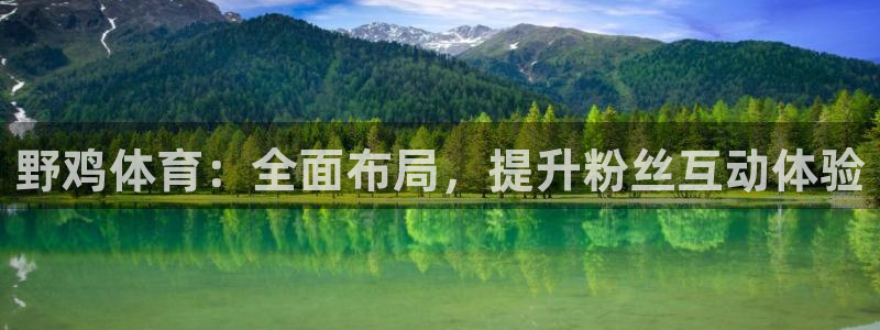 袋鼠直播在线播放：野鸡体育：全面布局，提升粉丝互动体验