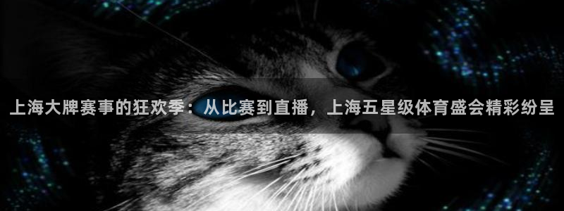 袋鼠直播nba免费观看篮球：上海大牌赛事的狂欢季：从比赛到直播，上海五星级体育盛会精彩纷呈