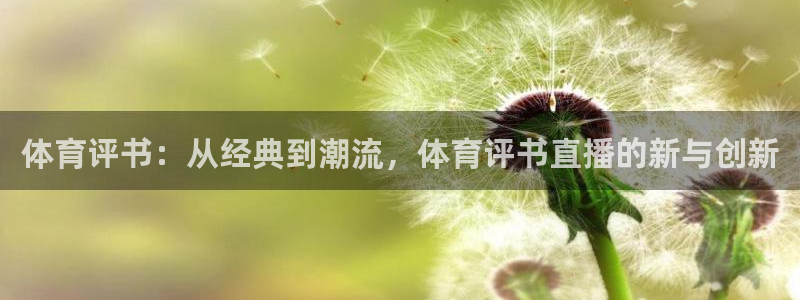 袋鼠体育直播官网：体育评书：从经典到潮流，体育评书直播的新与创新