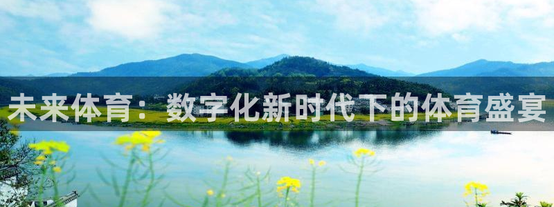 袋鼠nba体育直播：未来体育：数字化新时代下的体育盛宴