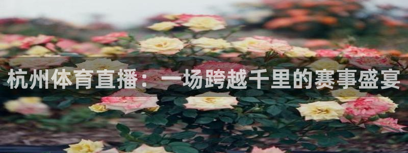 袋鼠体育足球直播：杭州体育直播：一场跨越千里的赛事盛宴