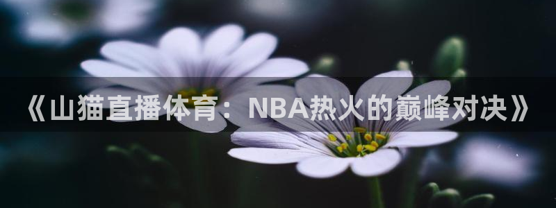 袋鼠nba体育直播：《山猫直播体育：NBA热火的巅峰对决》