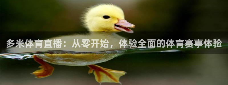 袋鼠直播体育app：多米体育直播：从零开始，体验全面的体育赛事体验