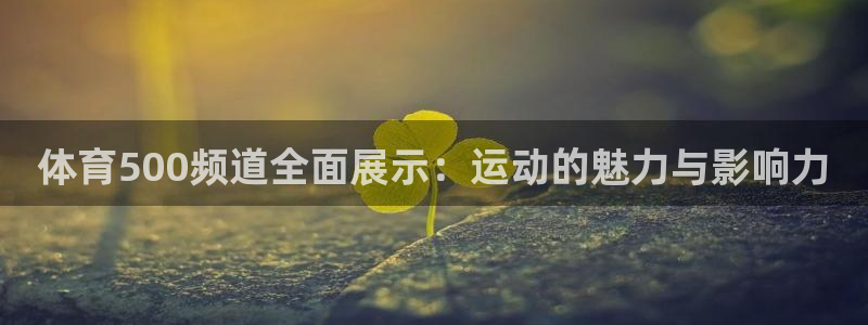 袋鼠直播体育免费直播