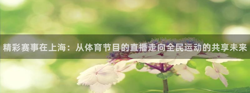 袋鼠体育免费观看