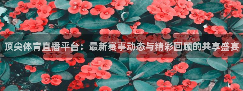 袋鼠体育直播官网