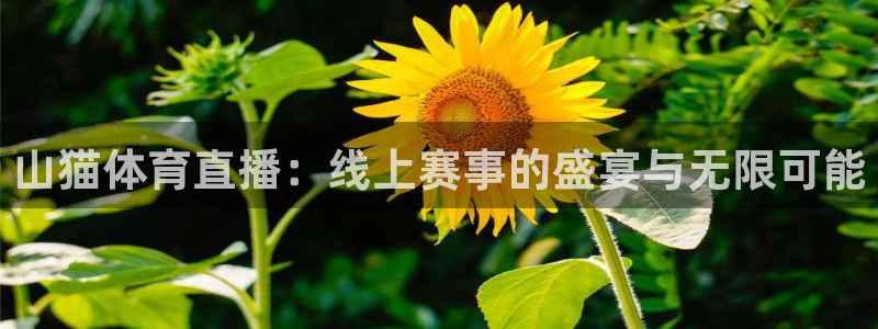 袋鼠直播体育在线观看边看边玩1.新通道.top：山猫体育直播：线上赛事的盛宴与无限可能