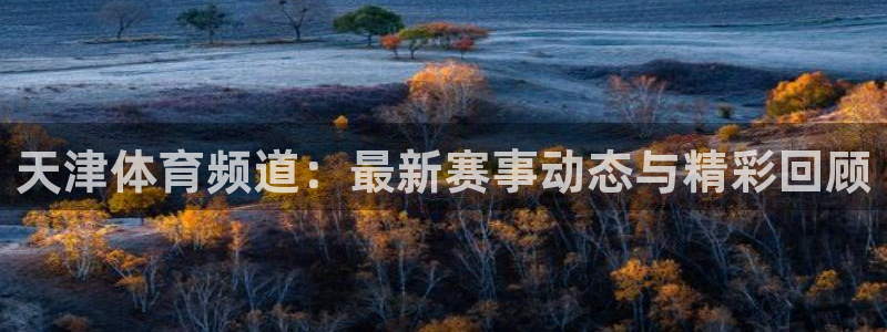 袋鼠体育直播nba：天津体育频道：最新赛事动态与精彩回顾