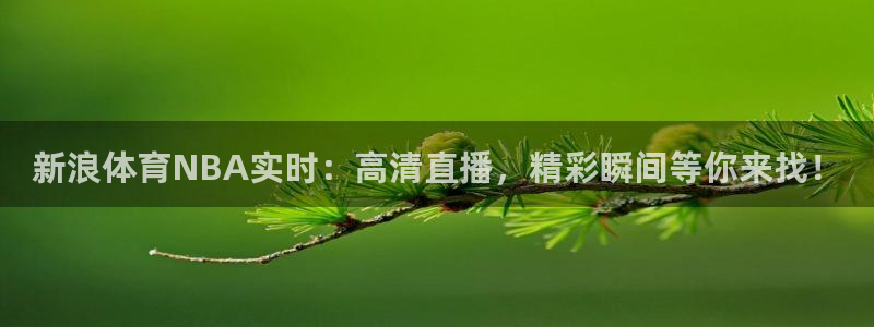袋鼠体育app：新浪体育NBA实时：高清直播，精彩瞬间等你来找！